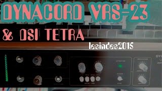 Video thumbnail for DYNACORD VRS-23 // Vintage Analog Reverb Delay // DSI TETRA by LESINDES