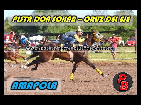 AMAPOLA, Pista Don Sohar - Cruz del Eje (24-01-2021)