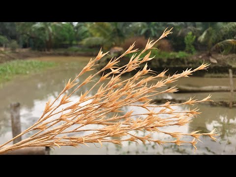 ABC TV | How To Make Filler Paper Flowers #32 - Craft Tutorial