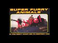Super Furry Animals - If You Don't Want Me To Destroy You (Live) 1996