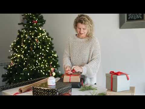 lucho perez de colombia