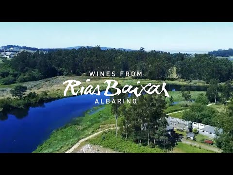 Get to Know D.O. Rías Baixas: Virtual Tour of Granbazán Winery