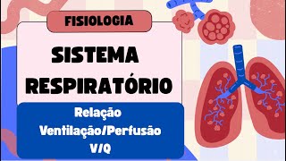 Relação V/Q: Equilíbrio entre Ventilação e Perfusão Pulmonar