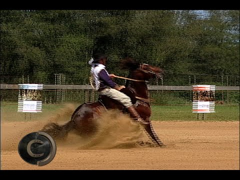 Gold Brake 2016. Santa Maria Accreditor!