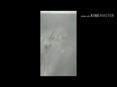 Número do chassi e motor Volvo S40 2.4 2008  by - Edson