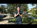 Kissing Prank Chest Game 9