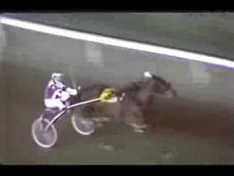 Niatross – Hollywood Park – American Pacing Classic 1980