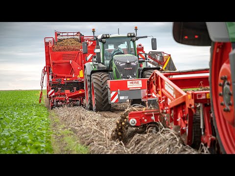 GRIMME WH 200 & EVO 280 | 2+2= 4 rows | Potato Harvest