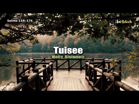 Motty Steinmetz — Tuisee | מוטי שטיינמץ — תעיתי | Tehilim (Psalms) 119 🙏 | Translation/ Lyrics
