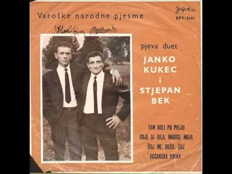VESELI VOĆANCI - navrh gore ivančice
