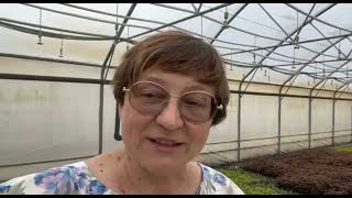 Реалити-шоу «Будни начинающего питомниковода» – Дела в питомнике в июле. Часть 26.