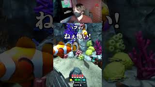 天才な隠れ方【めっちゃカメレオン】 #shorts #めっちゃカメレオン #かくれんぼ #mecchachameleon