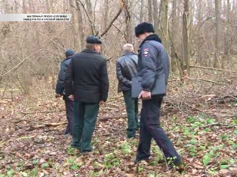 Штраф придется заплатить лесорубу, который заготавливал дрова в охранной зоне