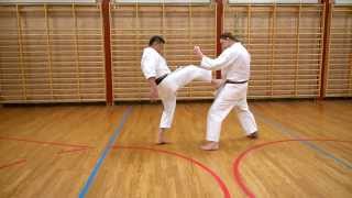 preview picture of video 'Treningssamling med sensei Poh Lim 6. dan på Otta Shotokan Karateklubb'