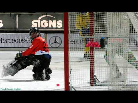 hammarby if bandy 2009-2010