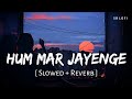 Hum Mar Jayenge (Slowed + Reverb) | Arijit Singh, Tulsi Kumar | Aashiqui 2 | SR Lofi