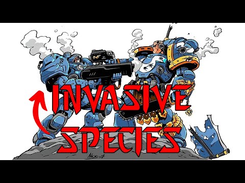 StarCraft VS Warhammer 40K IS NOT AS ONE-SIDED AS YOU THINK - PART 1: TERRAN OVERVIEW