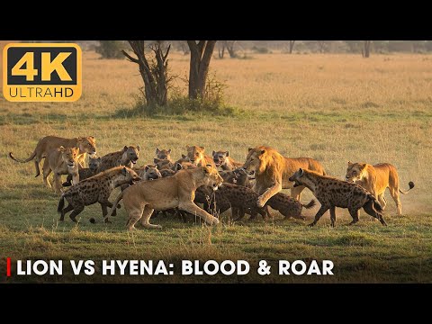 Savannah Clash