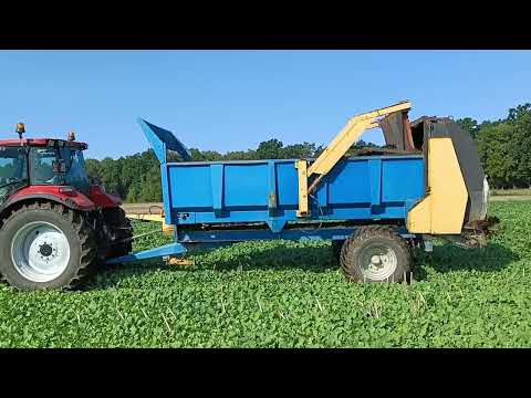 Pomiot kurzy i obornik bydlęcy...