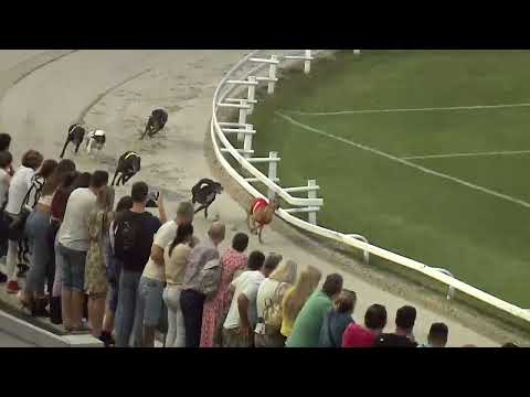 2023.09.01. 4. Futam - Lyreen Mover IV. futam - S1/S2