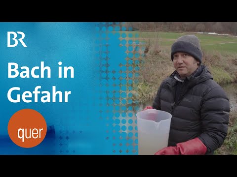 Fischsterben: Marode Kläranlage in der Kritik | quer vom BR