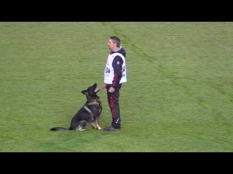 Urri z Kurimskeho haje WUSV WM 2015 B:92