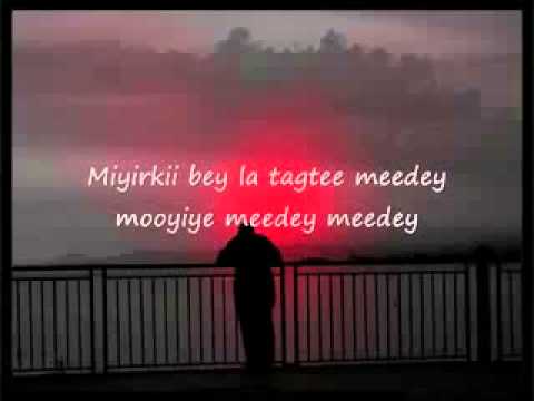 Somali Lyrics   karaoke    Meeday   YouTube