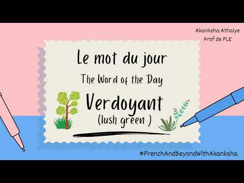 Reel : Episode 4: Building Blocks of a sentence in French 