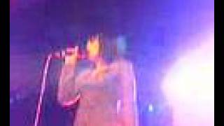 Little Birdy After Dark