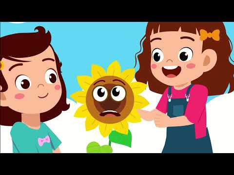 רחלי הקטנה | פרח פרח | הקליפ הרשמי | The Rachelli Way