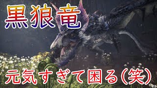 【MHW実況24】ガルルガは相変わらず元気だった