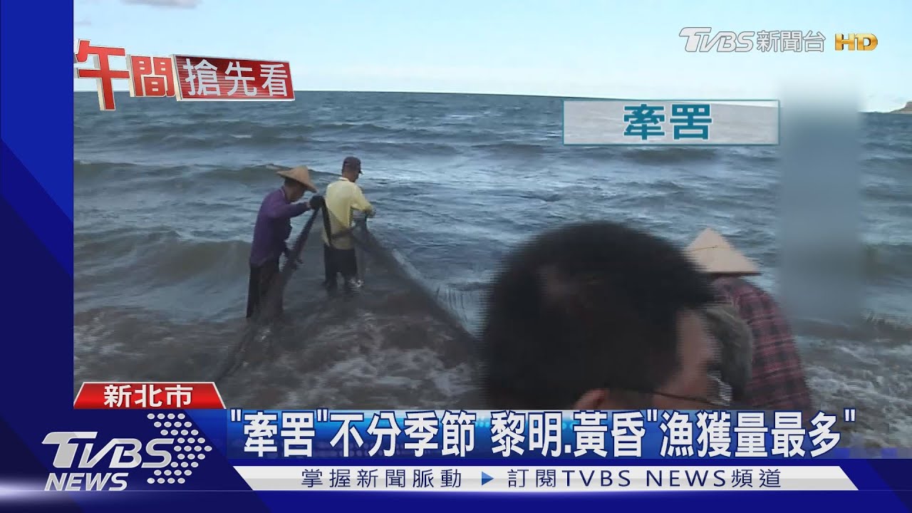 用力拉！牽罟體驗活動　捕上千斤「金錢仔」