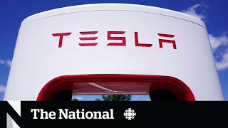 CBC News: The National: Tesla stock price sees major decline