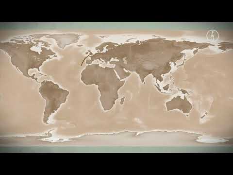 FWU - Evolution - Evolutionstheorien - von Lamarck bis heute - Trailer