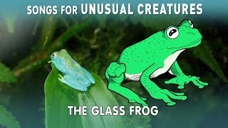 Glass Frog | Songs for Unusual Creatures | PBS Digital Studios