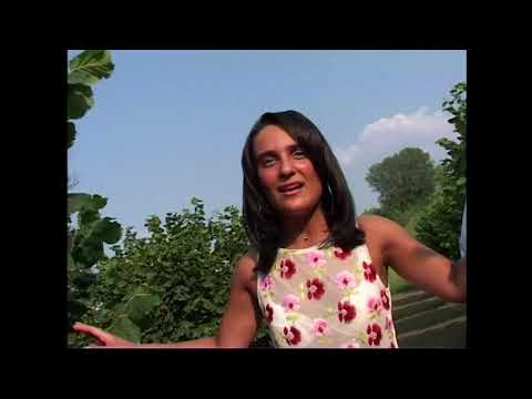 Loris Gallo - La Terra mia (Video Ufficiale)