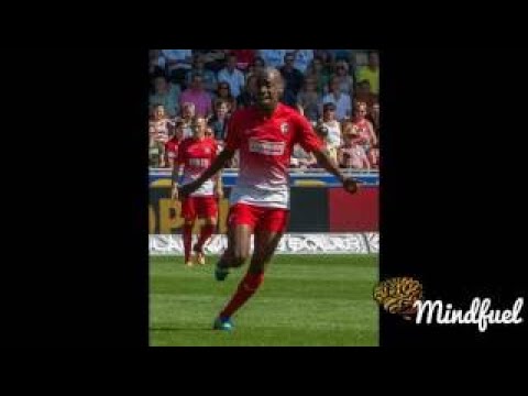 Gélson Fernandes Documentary