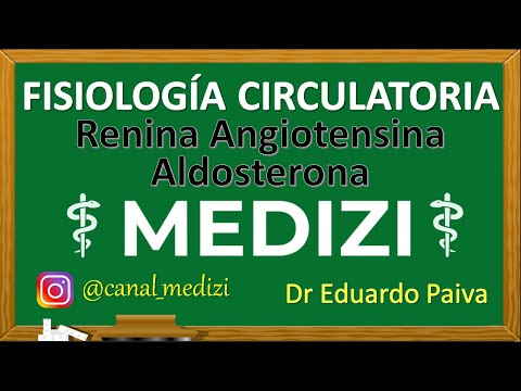 Class 30 Circulatory Physiology - Renin-Angiotensin-Aldosterone System (IG:@doctor.paiva)