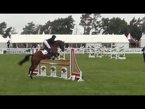 Mr Bean 37 Tattersalls CCI1* SJ