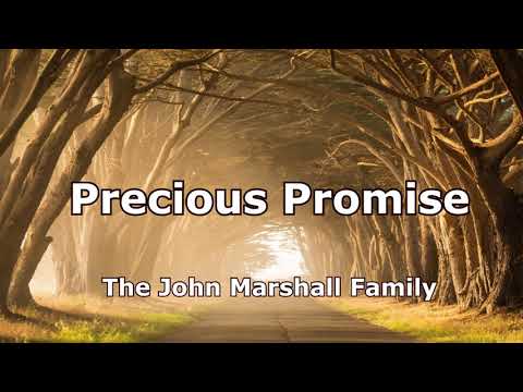 Precious Promise
