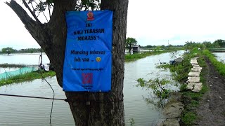 Download lagu Masa' Gak Ada Yang Berani Bayar 20 ribu mancing di kali tebasan ini mp3