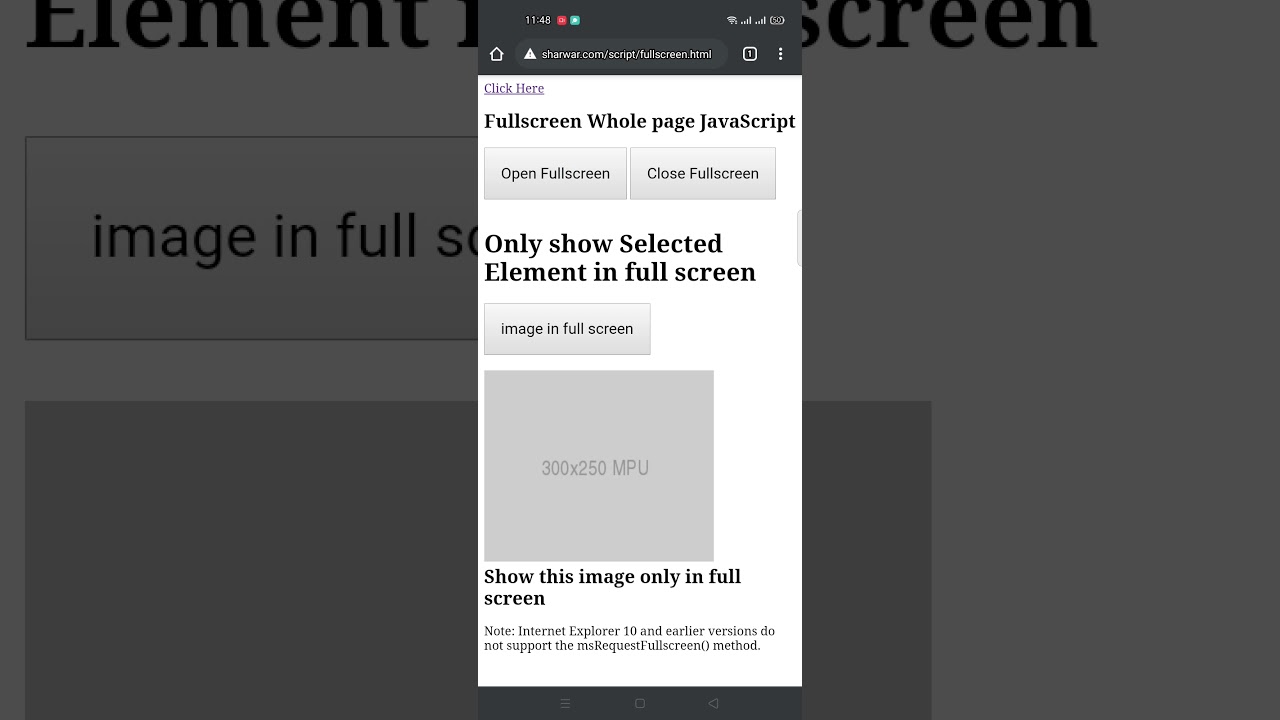 Full screen with javascript  | make selected element to full screen