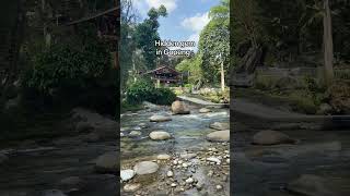 Download lagu Hidden gem di Sungai Gopeng, Perak. Tempat yang tenang dan tak ramai. Homestay Ipoh 0194762314. mp3