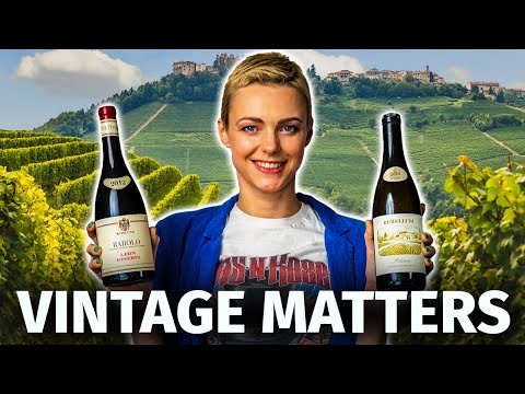 Why VINTAGE Matters? (How It Affects Wine’s Quality, Ageability & Flavor)