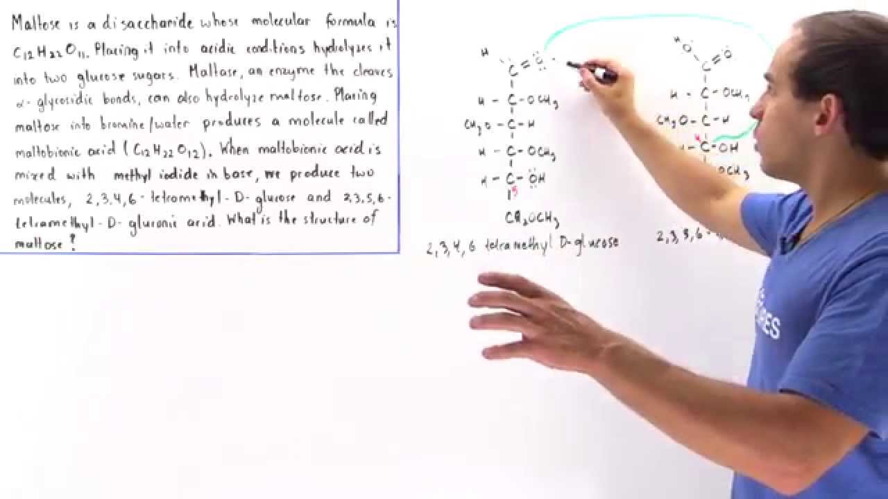 Structure of Maltose - YouTube