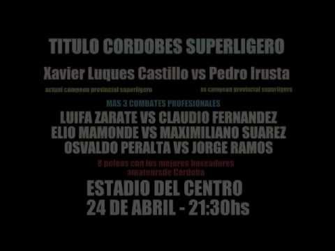 LUQUES CASTILLO VS IRUSTA, LUIFA ZARATE, ELIO MAMONDE, OSVALDO PERALTA