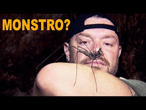 UM MONSTRO? | DESCOBERTA 4X4 | RICHARD RASMUSSEN
