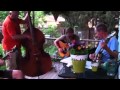 Backwoods Galaxy - Joan Torrey Hollins Backwoods Galaxy