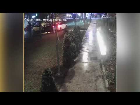 Izbegnuta nesreća! Vozač izleteo s puta, uleteo u park, pa oborio drvo