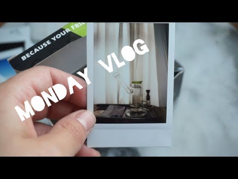Monday Vlog | Pizza, Turtles and hashtags